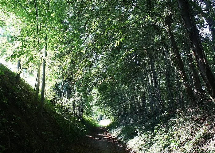 Couette-café Les Dépendances